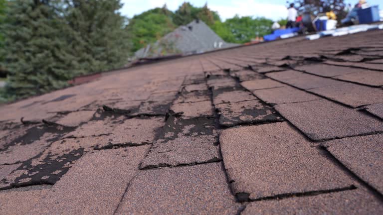 Best Roof Ventilation Installation  in Marietta Alderwood, WA