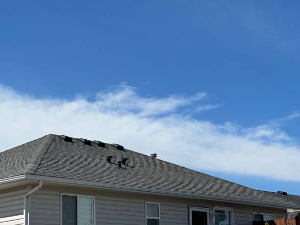 Best Skylight Installation and Repair  in Marietta Alderwood, WA